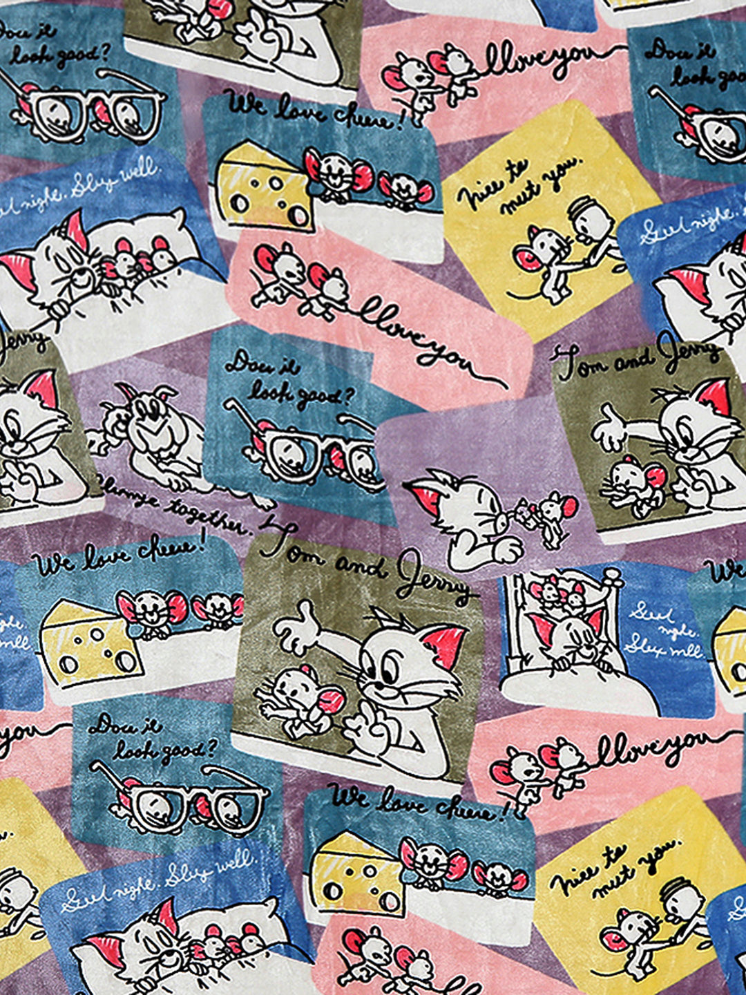 Tom and Jerry Graphic Panels Print Plush Cartoon Network Blue Baby Blanket