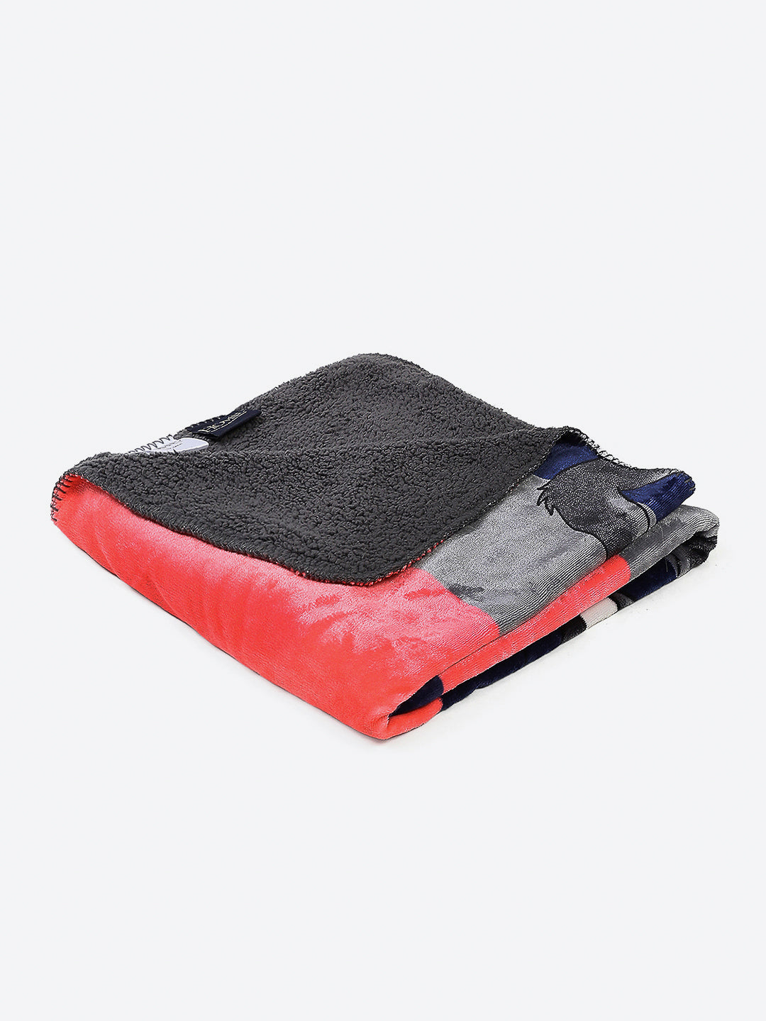 Printed Baby Blanket 2 Ply, 550 GSM, Weight 0.48 kg (Fairy Tale)