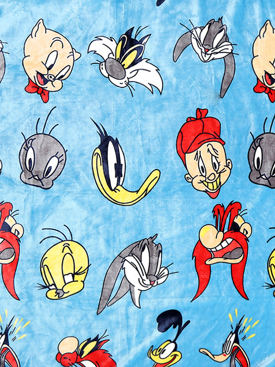 Looney Tunes Printed Soft Plush Cartoon Network Blue Baby Blanket