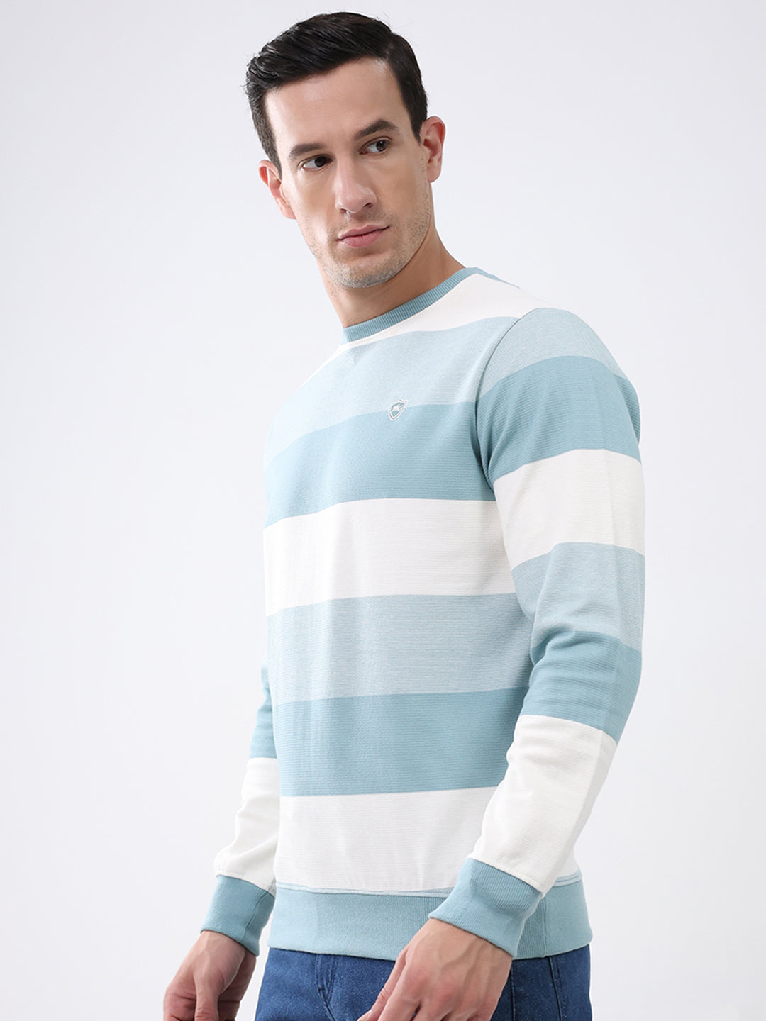 Men Blue Stripe Round Neck Full Sleeve Winter T-Shirt