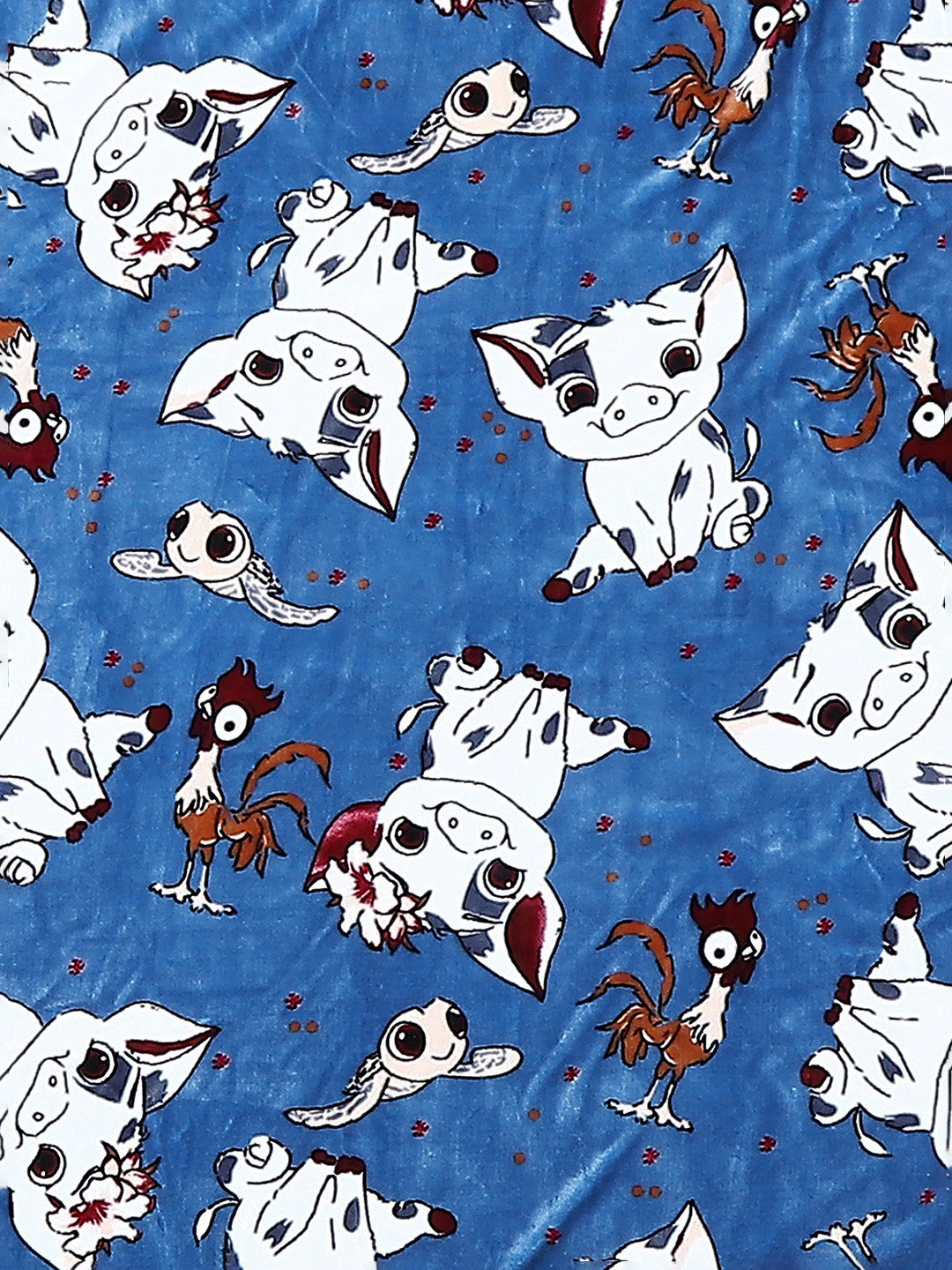 Printed Baby Blanket for Mild Winter -2 Ply