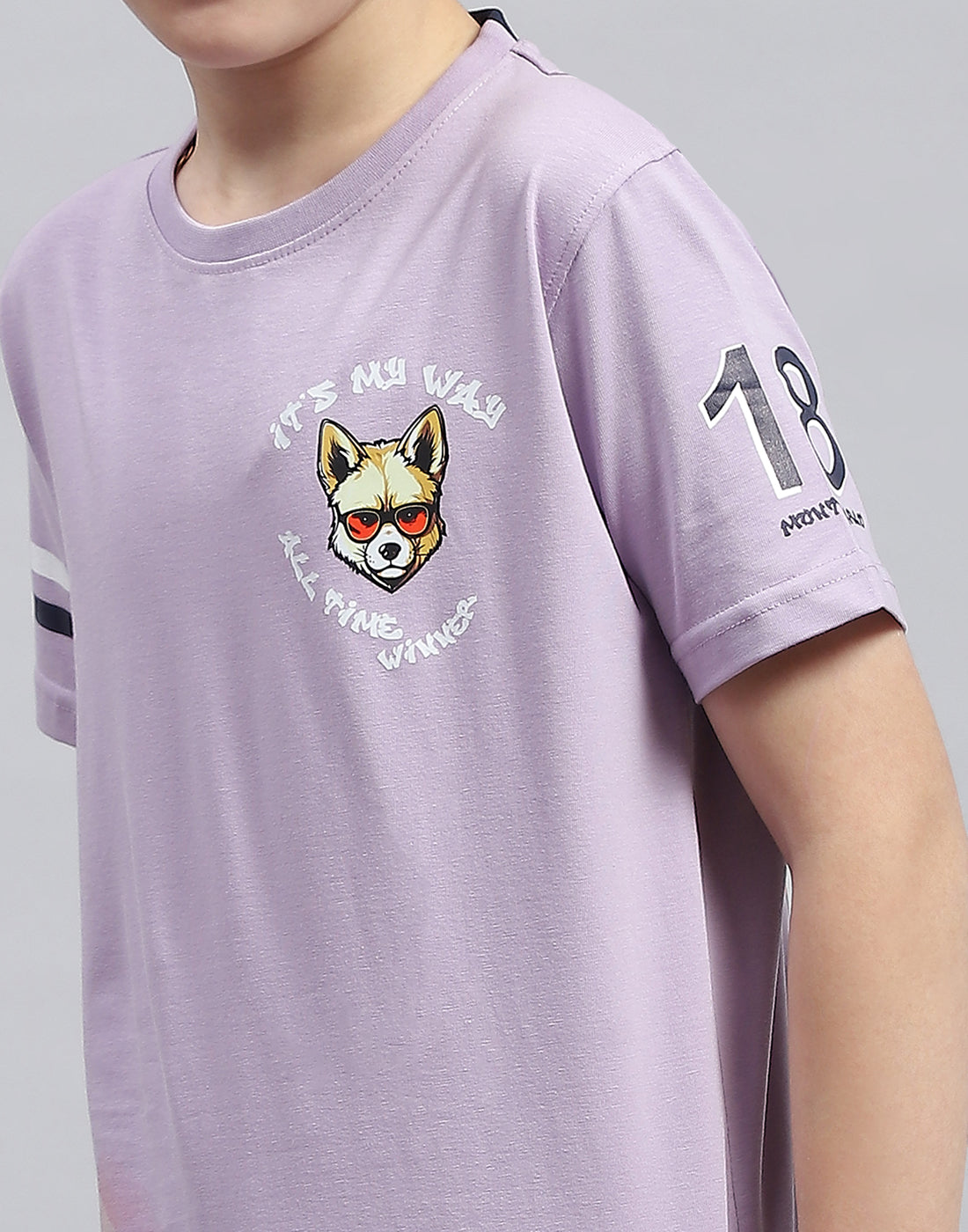 Boys Purple Printed Round Neck Half Sleeve T-Shirt