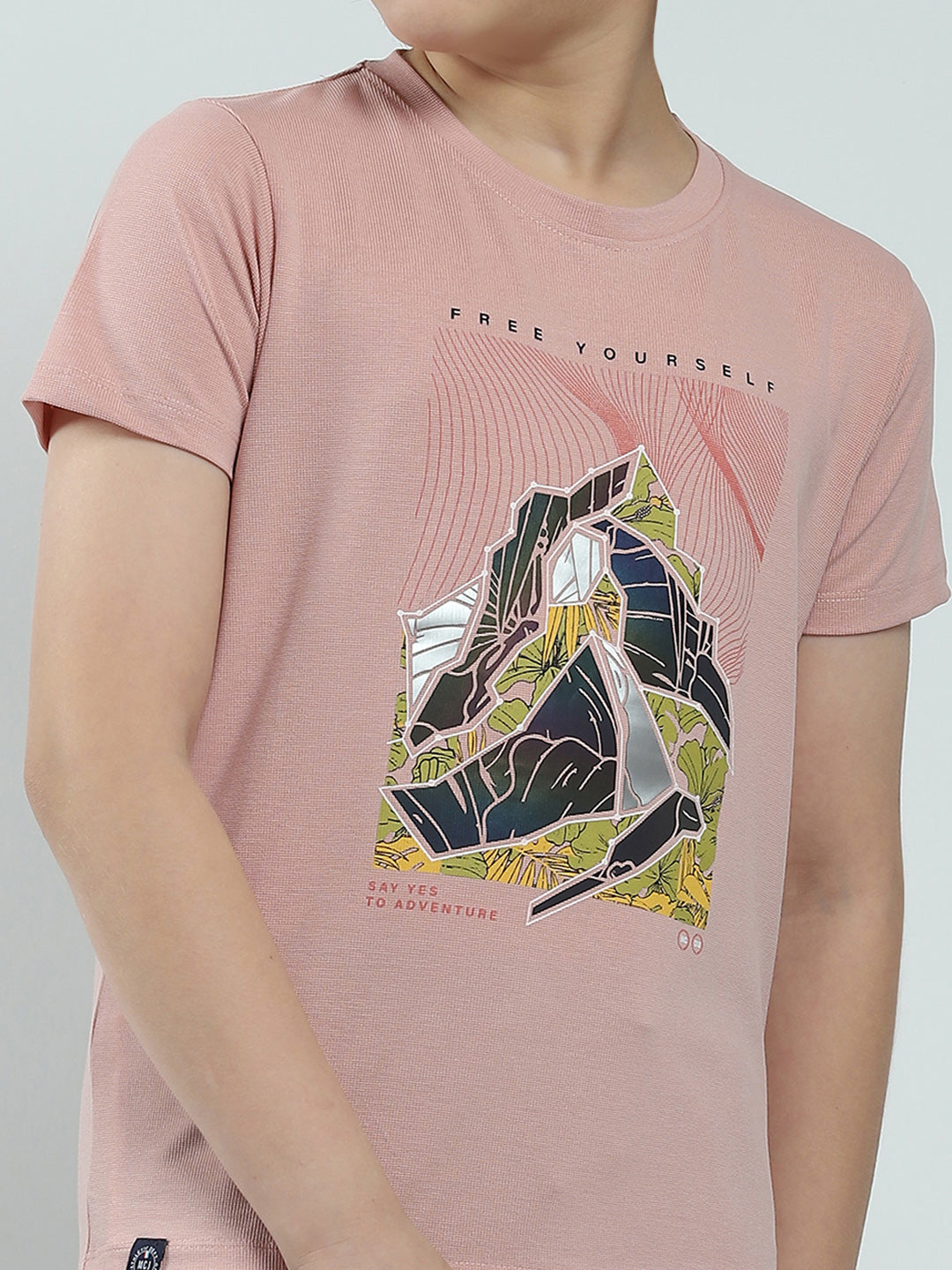 Boys Pink Printed Round Neck Half Sleeve T-Shirt