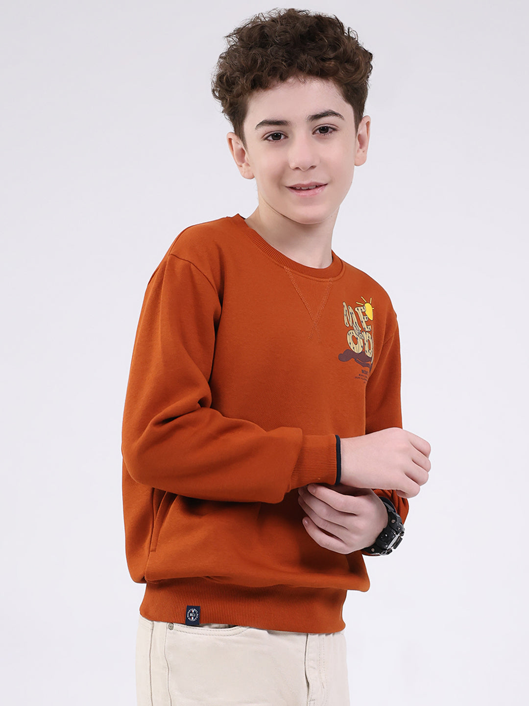 Boys Tan Printed Round Neck Full Sleeve Sweatshirt