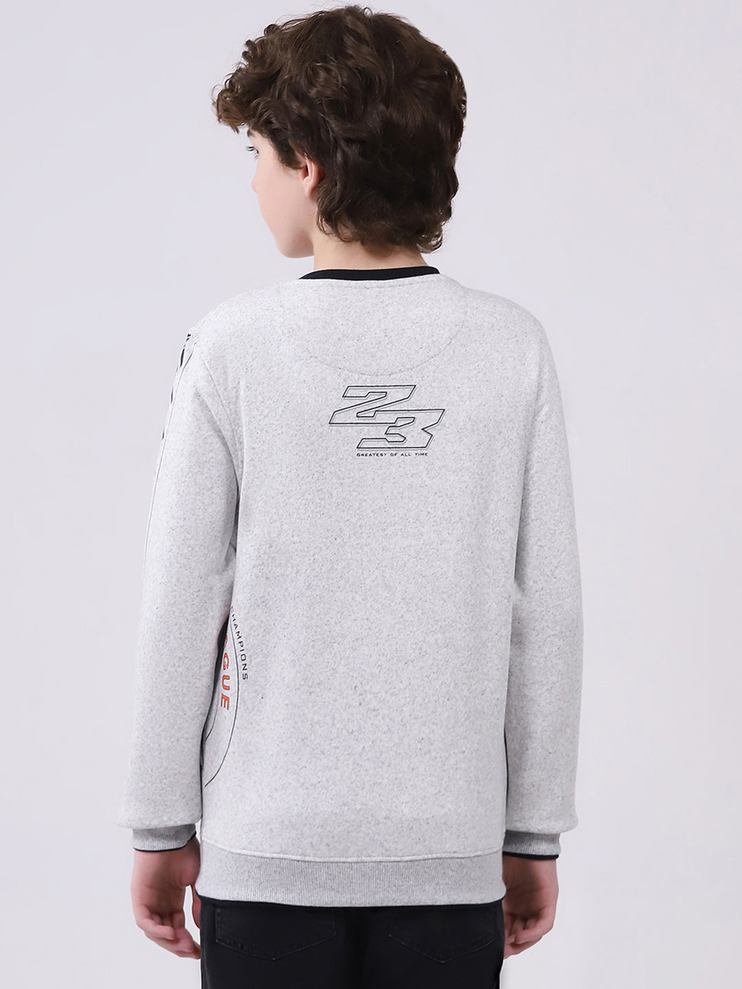 Boys Grey Printed Round Neck Full Sleeve Sweatshirt