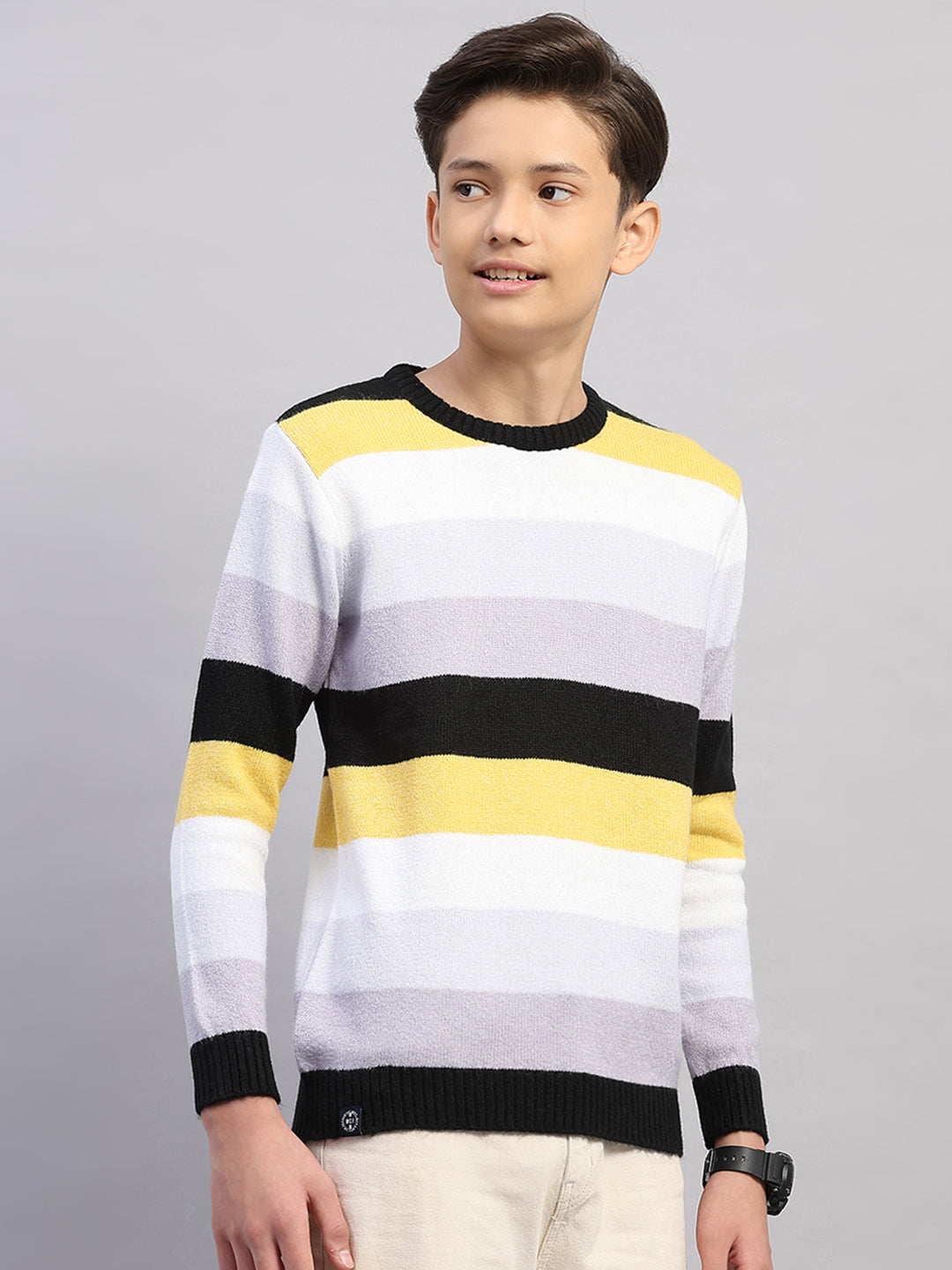 Boys Purple Stripe Round Neck Full Sleeve Pullover