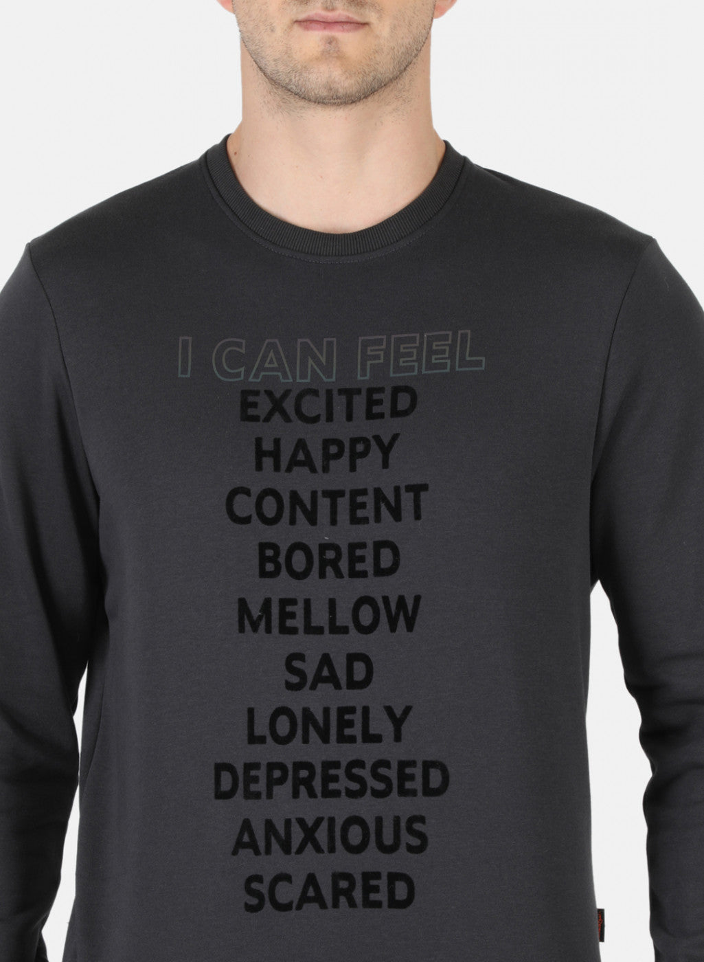 Men Grey Printed Sweatshirt