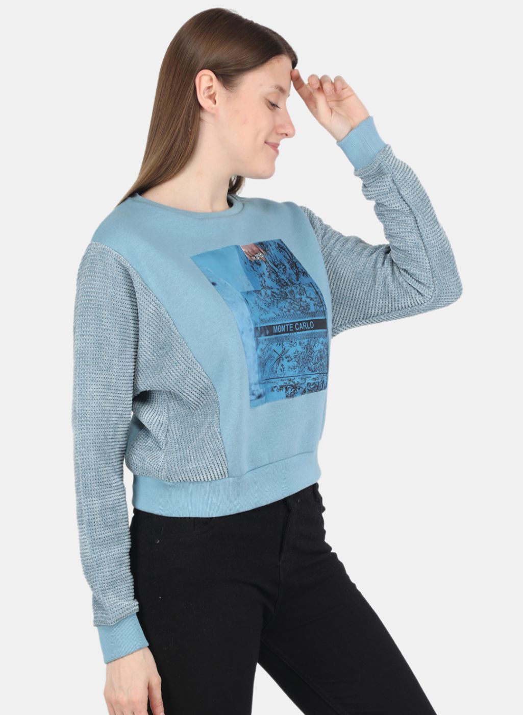 Women Blue Printed Sweatshirt