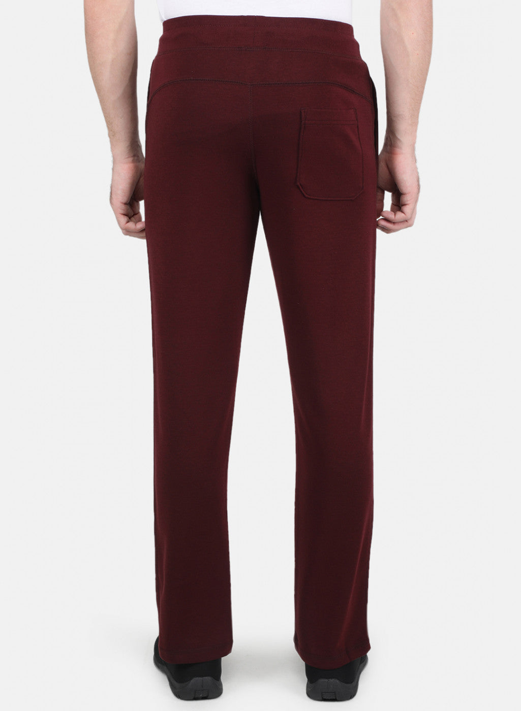 Men Maroon Regular Fit Lower