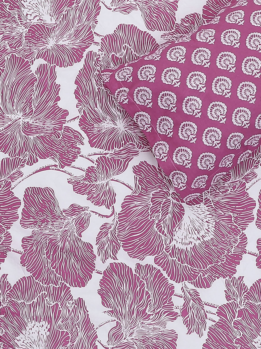 MOCA by Monte Carlo 144 TC Cotton King Bedsheet with 2 Pillow Covers