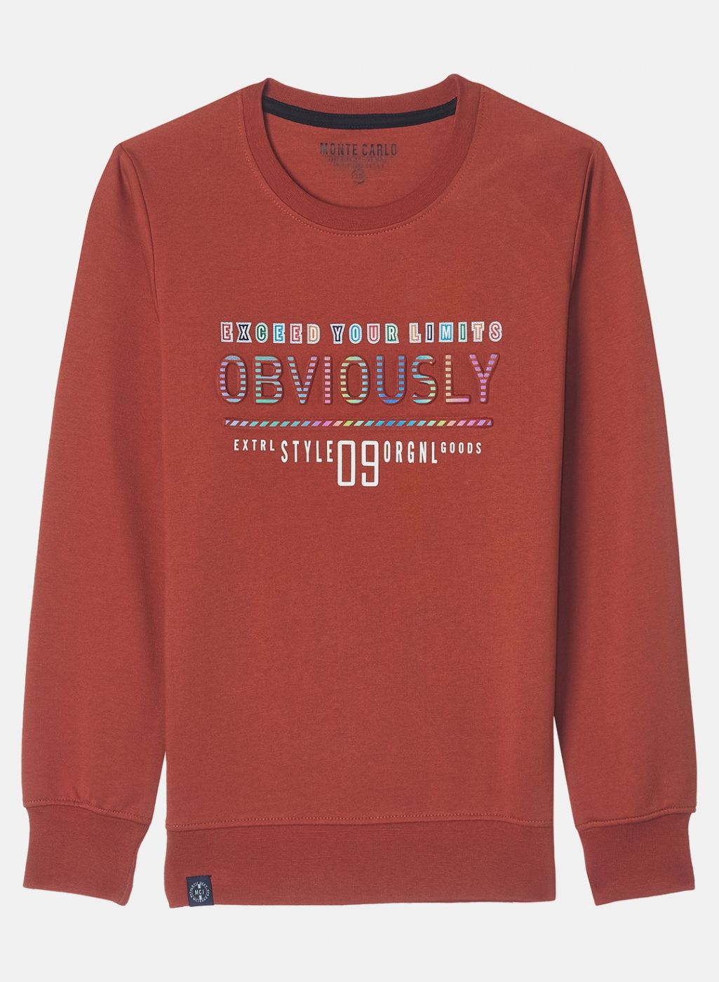 Boys Rust Orange Printed Sweatshirt