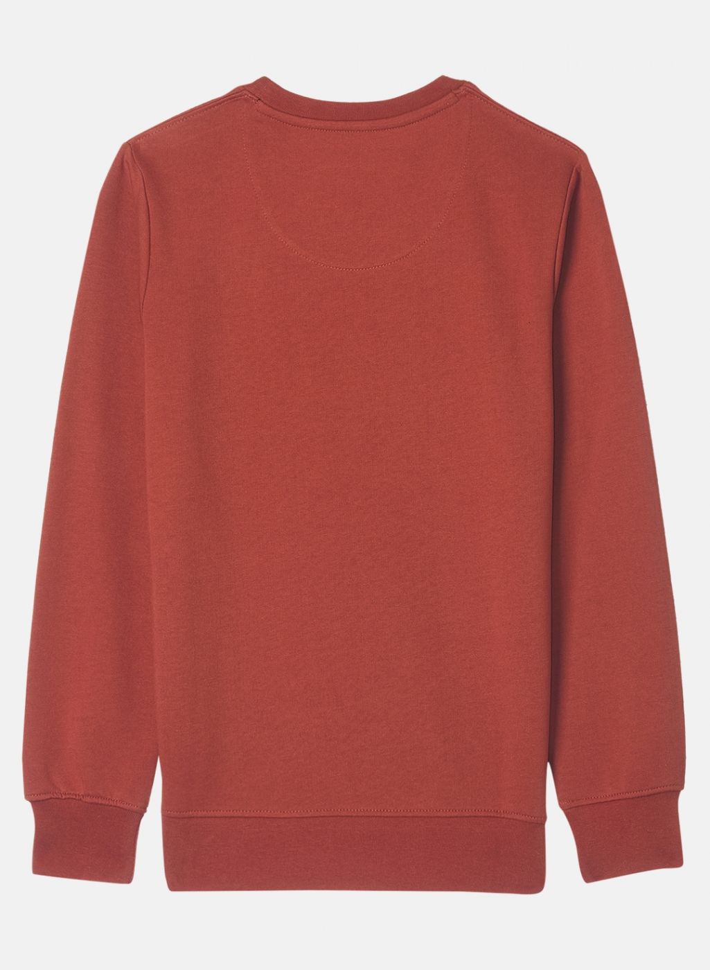 Boys Rust Orange Printed Sweatshirt