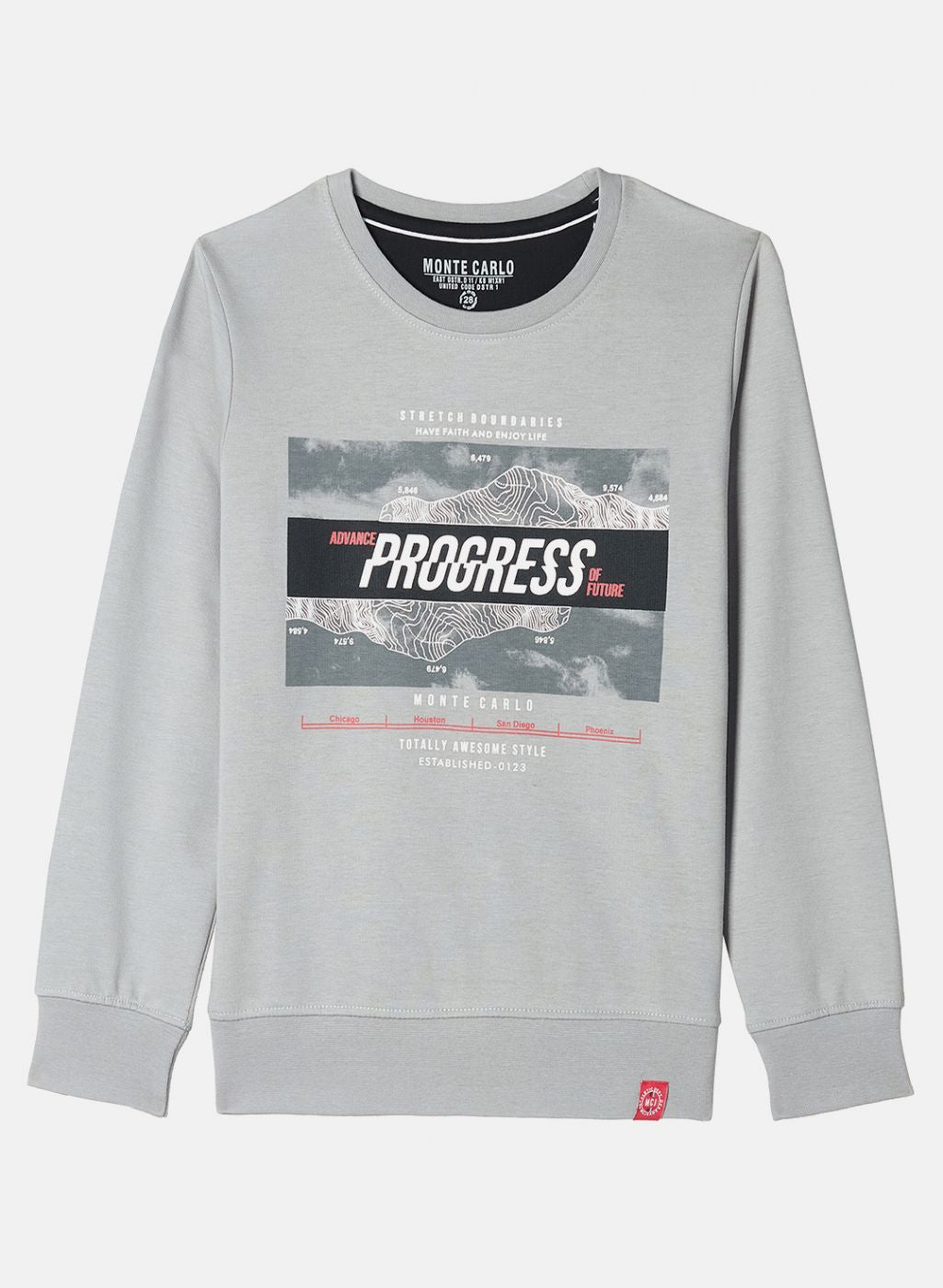 Boys Grey Printed Sweatshirt