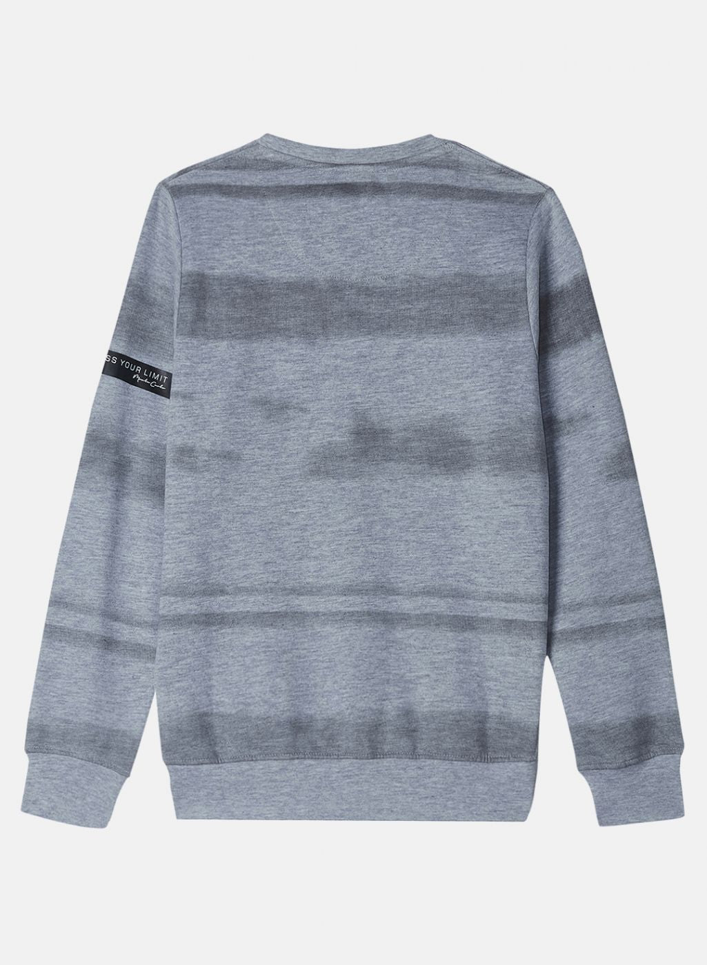 Boys Grey Printed Sweatshirt