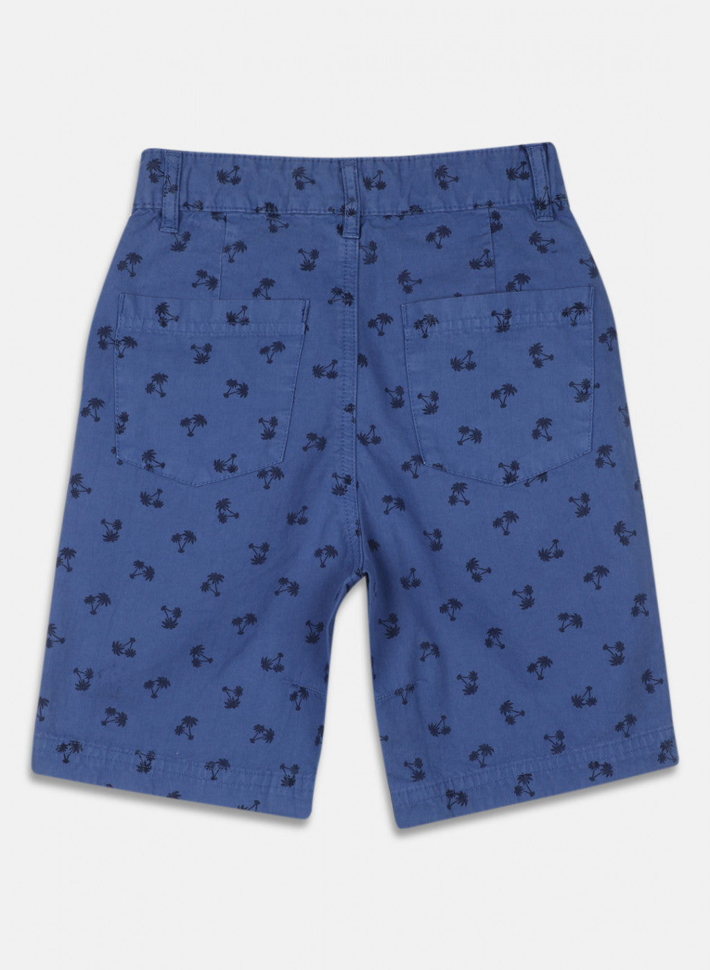 Boys Blue Printed Short