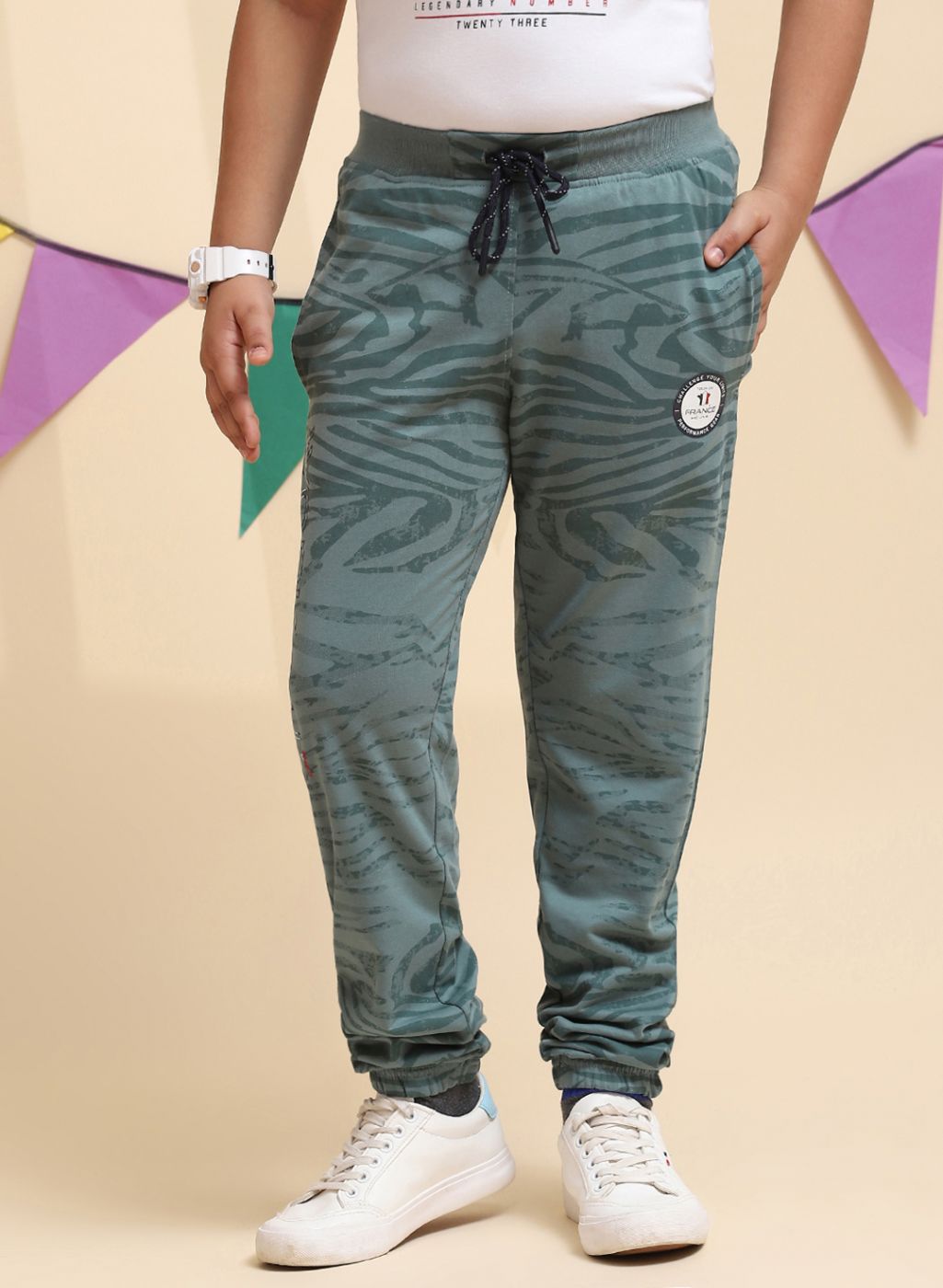 Boys Green Regular Fit Lower