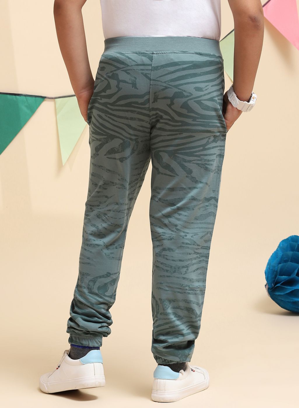 Boys Green Regular Fit Lower