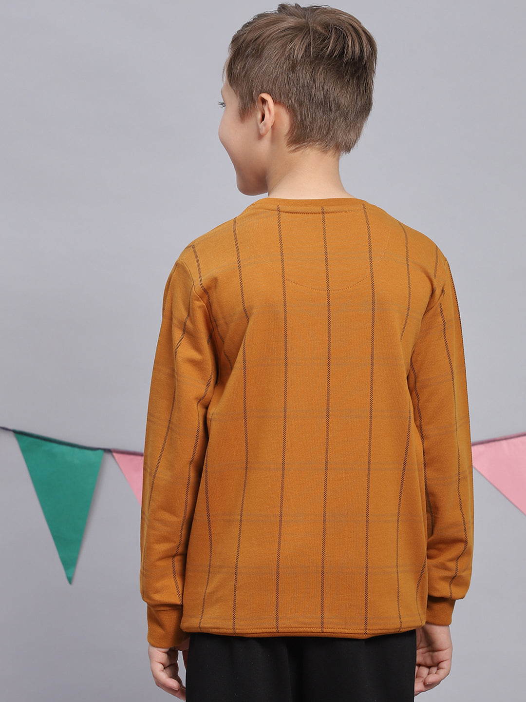 Boys Mustard Printed Round Neck Full Sleeve Sweatshirt