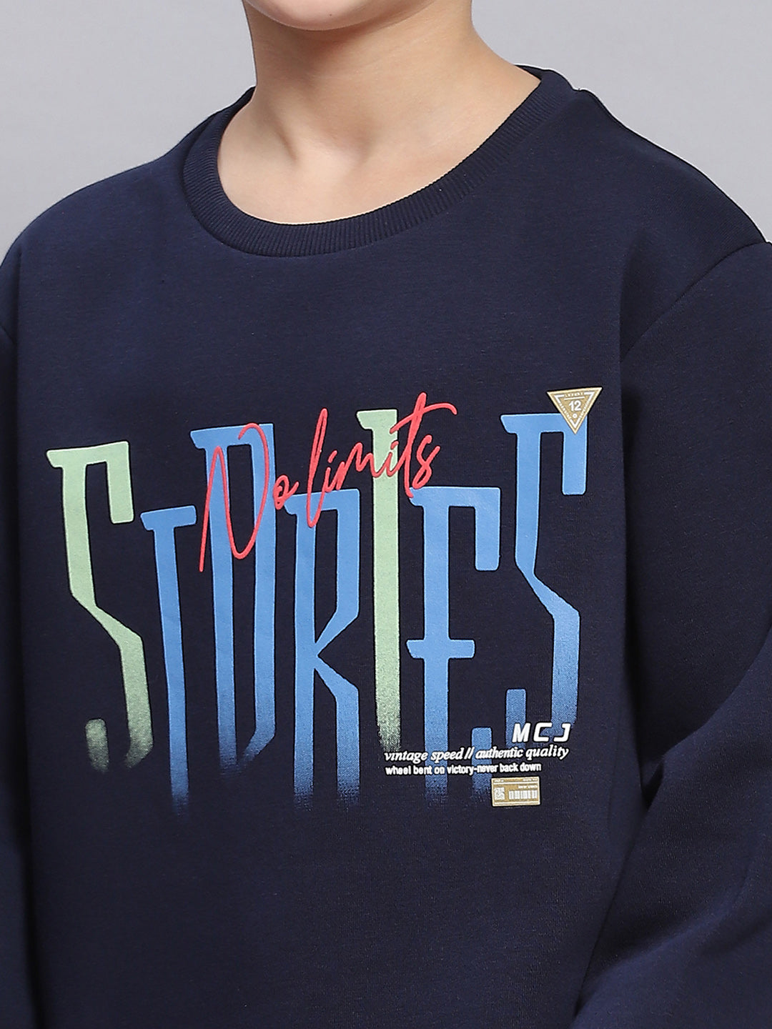 Boys Navy Blue Printed Round Neck Full Sleeve Sweatshirt