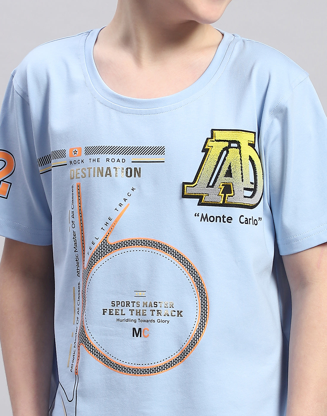 Boys Blue Printed Round Neck Half Sleeve T-Shirt