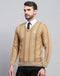 Men Beige Stripe V Neck Full Sleeve Pullover