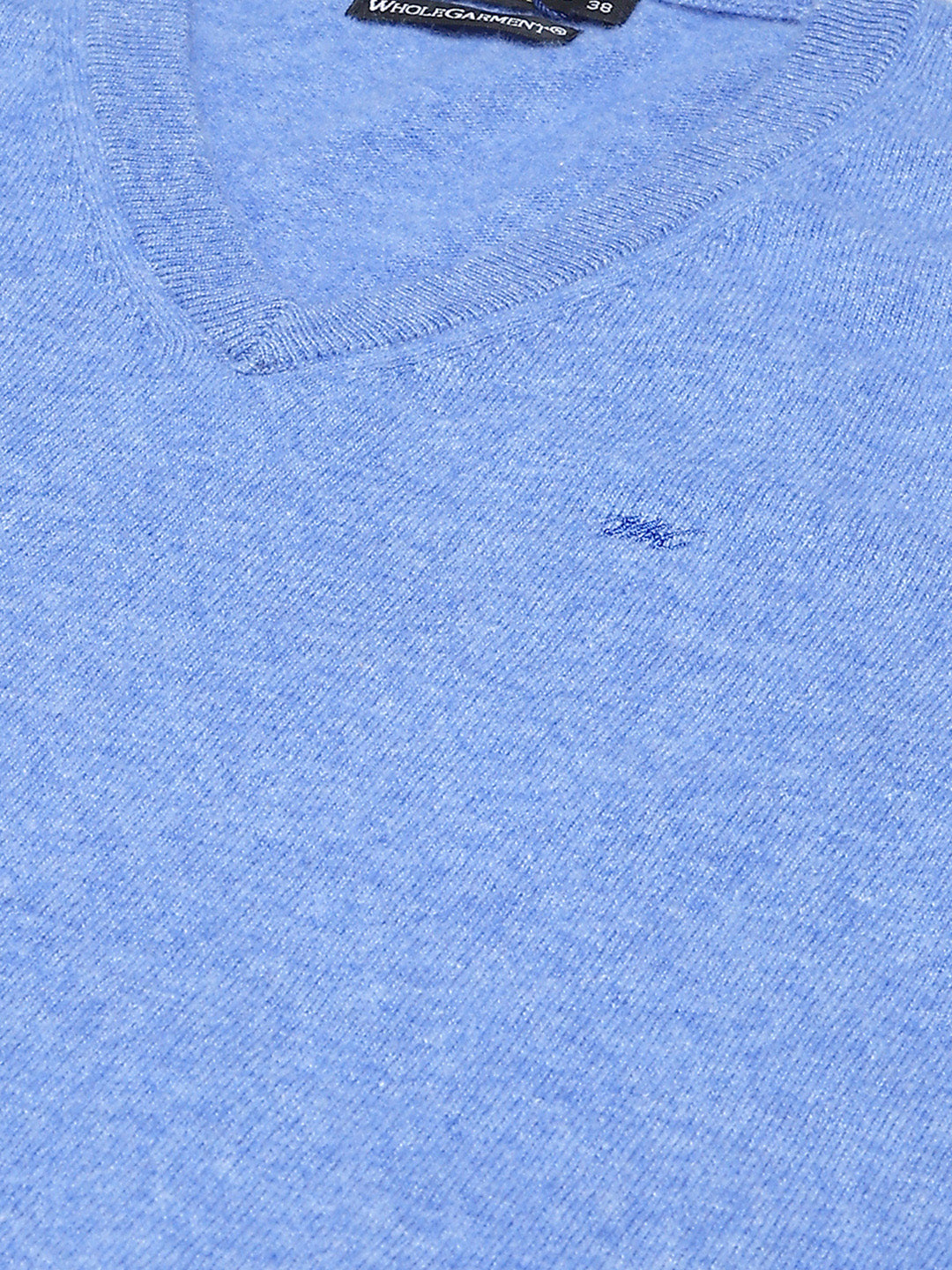 Men Blue Solid V Neck Sleeveless Sweater