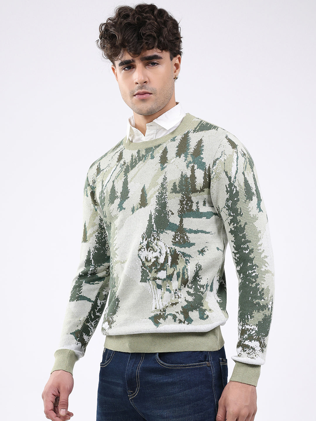 Men Green Self Design Round Neck Full Sleeve Pullover