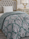 Printed Single Bed 210 GSM Comforter for Mild Winter (Nixie), Weight 660 gm
