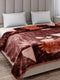 Printed Double Bed 2 Ply, 871 GSM Blanket for Heavy Winter - (Moon Valley Box)
