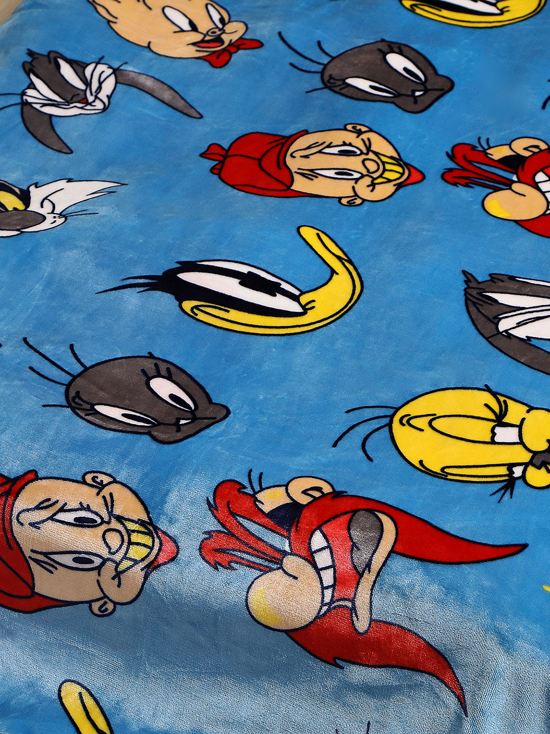 Looney Tunes Printed Soft Plush Cartoon Network Blue Baby Blanket