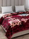 Printed Double Bed 1 Ply, 549 GSM Blanket for Mild Winter - (Roman Box)