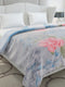 Printed Double Bed 2 Ply, 909 GSM Embossed Blanket for Heavy Winter - (Vista Plus)