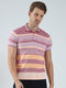 Men Maroon Stripe Collar Half Sleeve T-Shirt