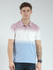 Men Blue Stripe Collar Half Sleeve T-Shirt