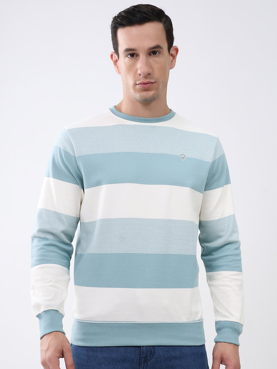 Men Blue Stripe Round Neck Full Sleeve Winter T-Shirt