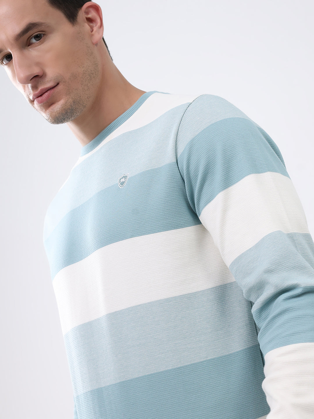 Men Blue Stripe Round Neck Full Sleeve Winter T-Shirt