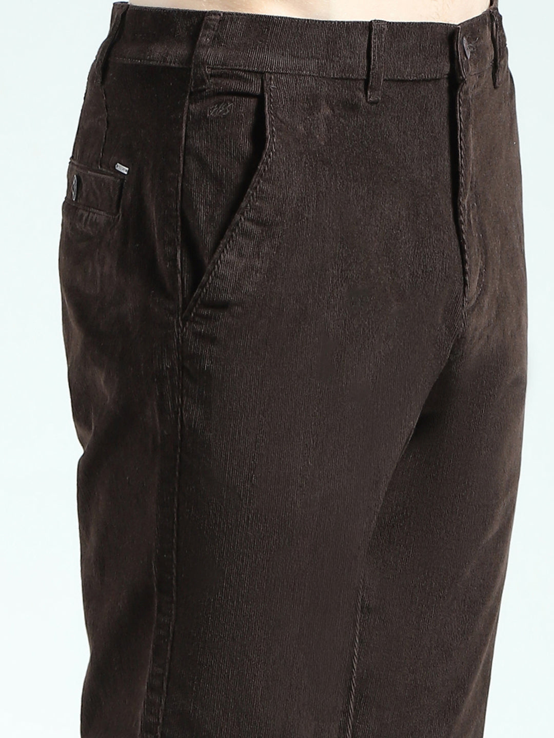 Men Brown Solid Regular Fit Trouser