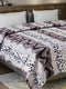 Printed Double Bed 757 GSM Blanket Pride 2 Ply (Weight 4 kg)