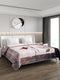 Printed Double Bed Blanket for Heavy Winter -2 Ply