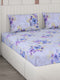 104 TC Cotton Double Bedsheet with 2 Pillow Covers - Updated - Updated - Updated