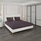 400 TC Cotton Double Bedsheet with 2 Pillow Covers