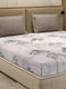 110 GSM Polyester Double Bed 1 Bedsheet with 2 Pillow Cover (Aromatica)