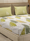 110 GSM Polyester Double Bed 1 Bedsheet with 2 Pillow Cover (Aromatica)