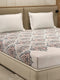 210 TC 100% Bamboo King 1 Bedsheet with 2 Pillow Cover (Eco-Ease)