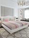 120 GSM Polyester Queen Size 1 Bedsheet with 2 Pillow Covers (Occasion)