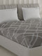 210 TC Cotton Double Bed 1 Bedsheet with 2 Pillow Covers (Ramona)