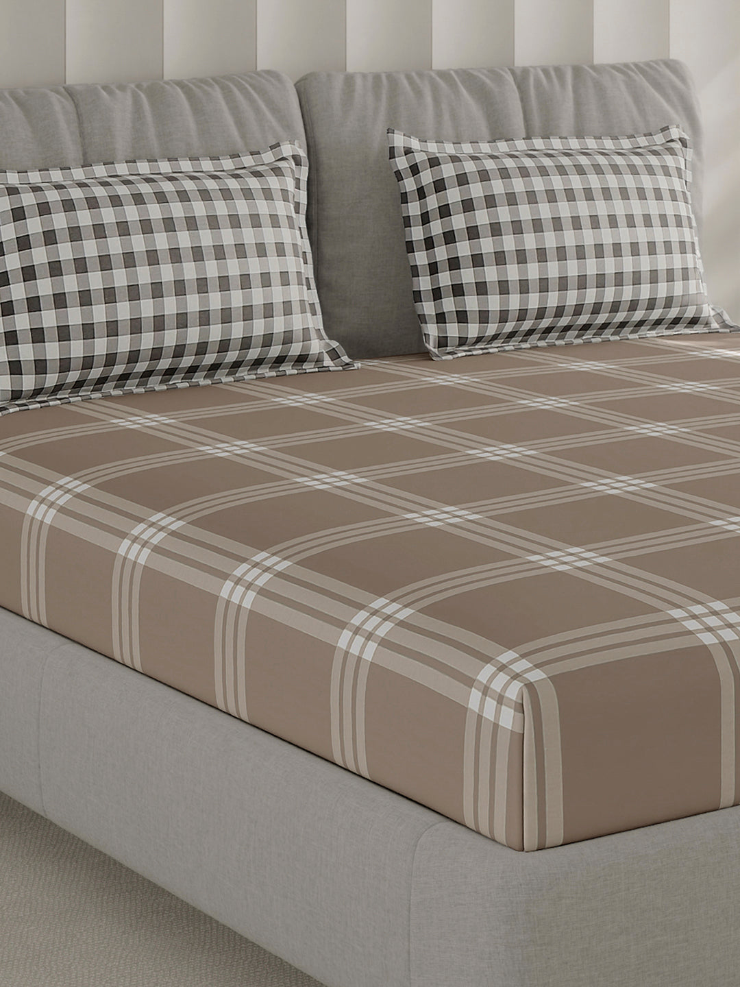 210 TC Cotton Double Bed 1 Bedsheet with 2 Pillow Covers (Ramona)