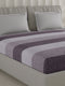 210 TC Cotton Double Bed 1 Bedsheet with 2 Pillow Covers (Ramona)
