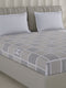 210 TC Cotton Double Bed 1 Bedsheet with 2 Pillow Covers (Ramona)