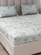 130 GSM Polyester King Size 1 Bedsheet with 2 Pillow Covers (Royal King)